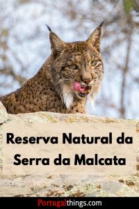 Como Visitar A Reserva Natural Da Serra Da Malcata Portugal Things como-visitar-a-reserva-natural-da-serra-da-malcata-portugal-things