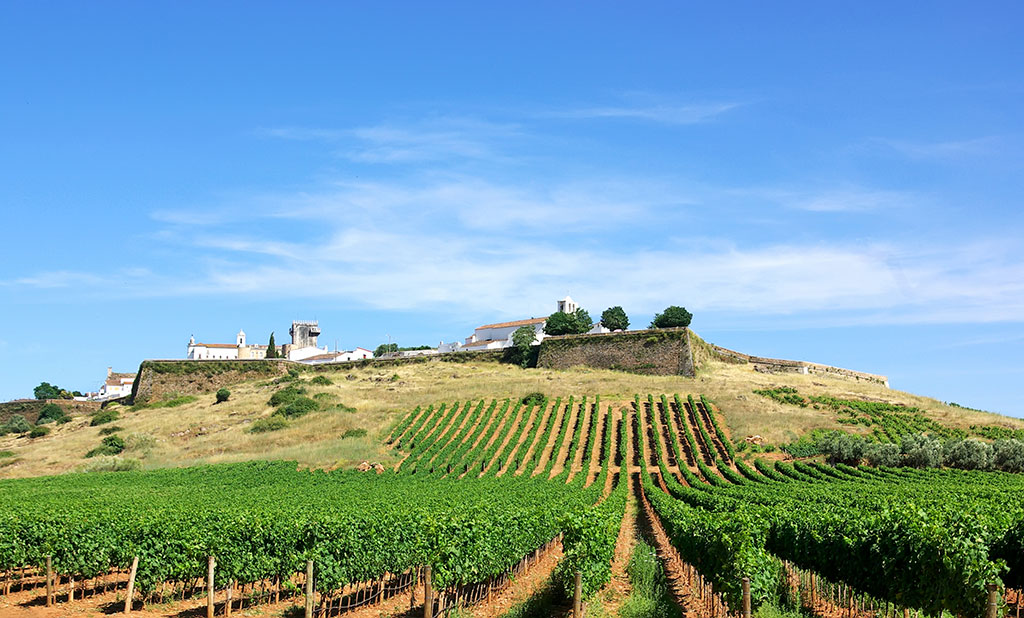 tudo sobre as Regiões vinícolas de Portugal
