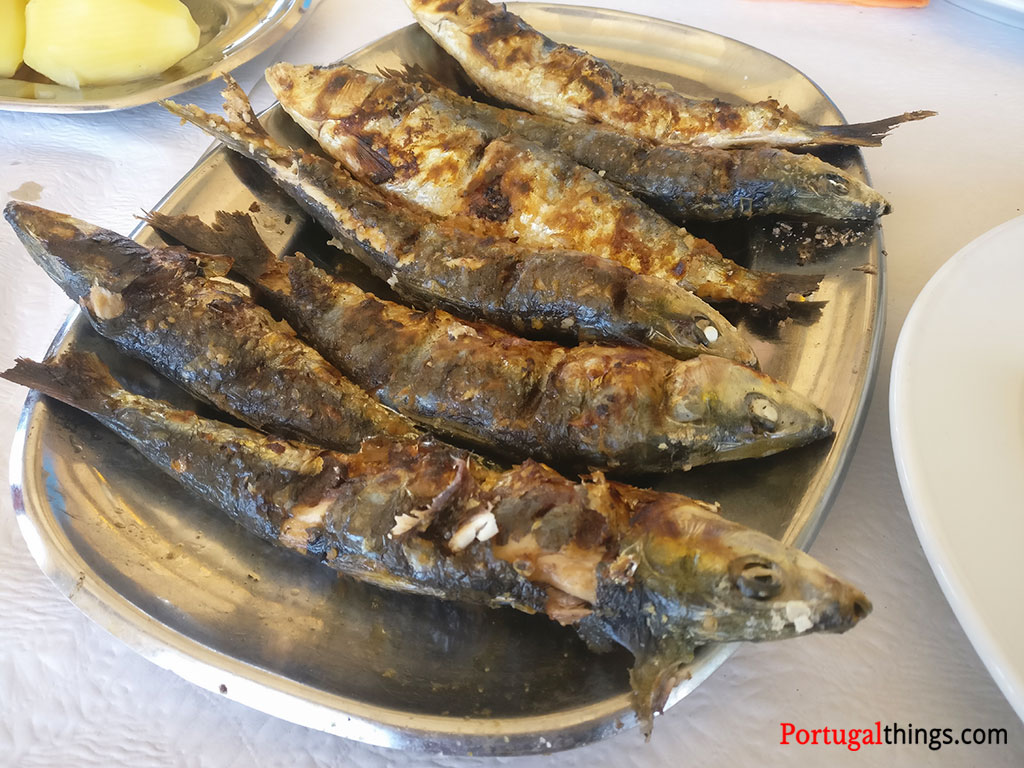 typical dishes from Porto portugal
