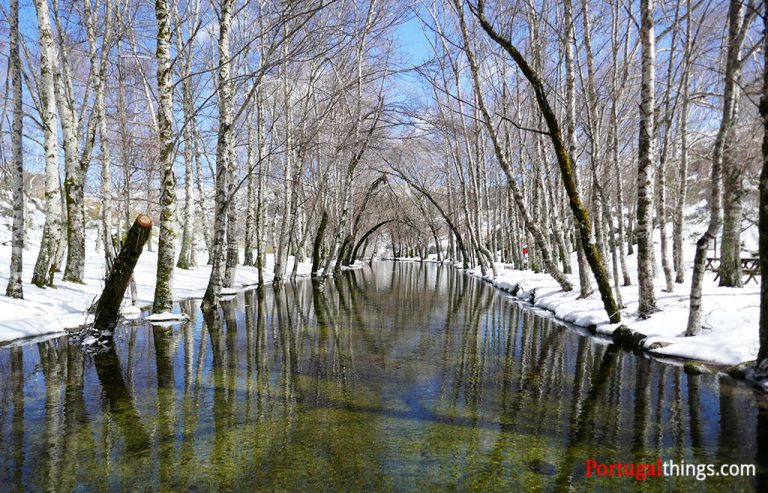 20 best things to do in Serra da Estrela - Trails, waterfalls, villages ...