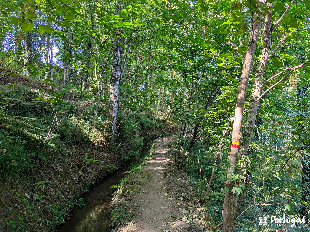 Um caminho estreito de terra serpenteia pelas exuberantes Levadas de Jugueiros em Felgueiras, com um pequeno canal de água ao lado. Árvores verdes margeiam a trilha PR3, marcada por uma placa vermelha e amarela.