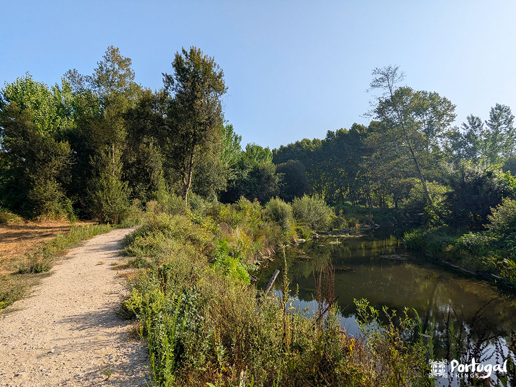 Um caminho de terra batida passa ao lado de um rio calmo em Felgueiras, cercado por densas árvores e arbustos verdes sob um céu azul claro - parte da trilha cênica Levadas de Jugueiros PR3.