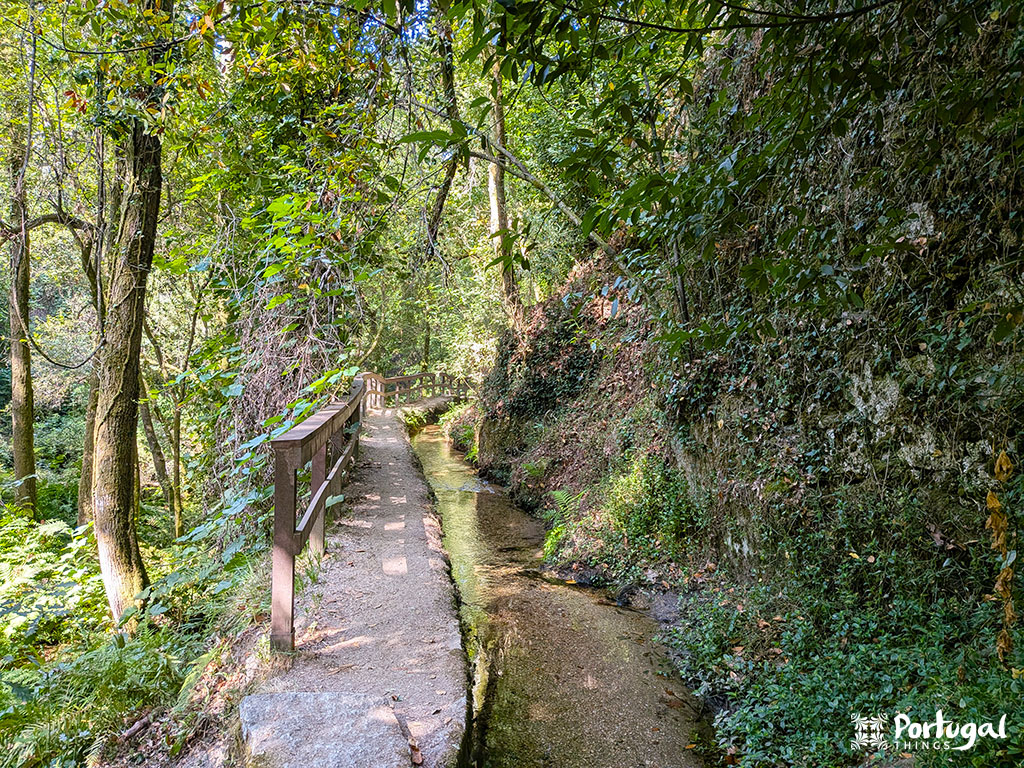 Um trilho estreita de pedra com um corrimão de madeira passa ao lado de um pequeno riacho pela exuberante e verde floresta das Levadas de Jugueiros. A luz do sol passa por entre as árvores densas.
