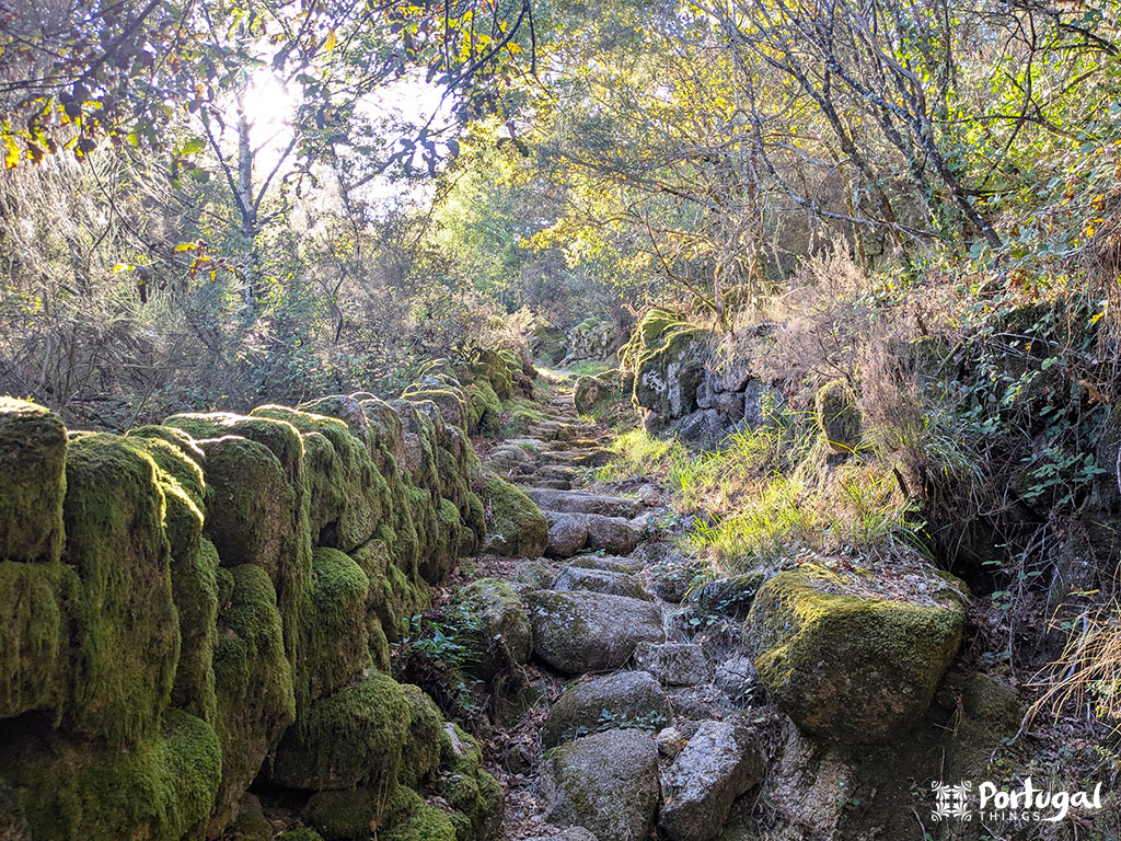 A stone path lined with moss-covered rocks leads up into a wooded area on the Castrejo Trail (PR3) in Castro Laboreiro, with sunlight streaming through the trees.