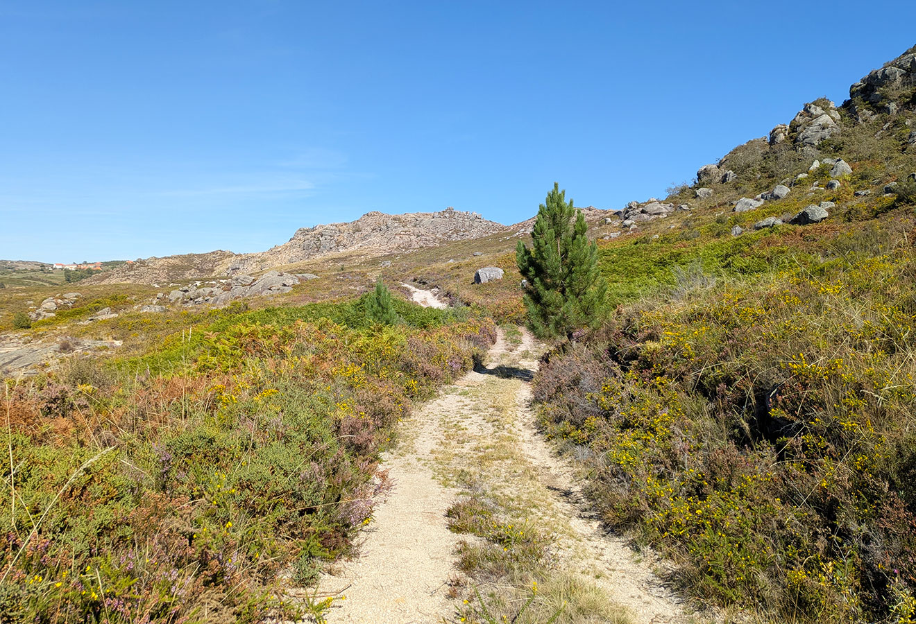 Trilho Castrejo - PR3 - Castro Laboreiro cover