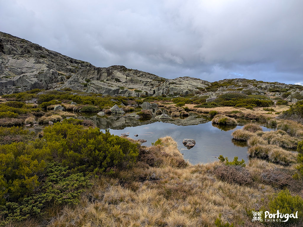 Um pequeno lago cercado por grama marrom e arbustos verdes, situado entre as colinas rochosas do Maciço Central da Serra da Estrela, sob um céu nublado.