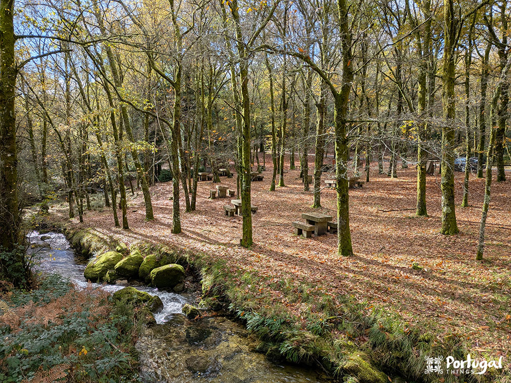Uma área arborizada com o chão coberto de folhas apresenta várias mesas de piquenique e bancos de pedra ao lado de um pequeno riacho ao longo da Levada de Víbora.