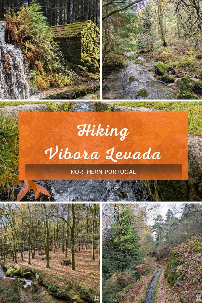 Hiking vibora levada in Northern Portugal