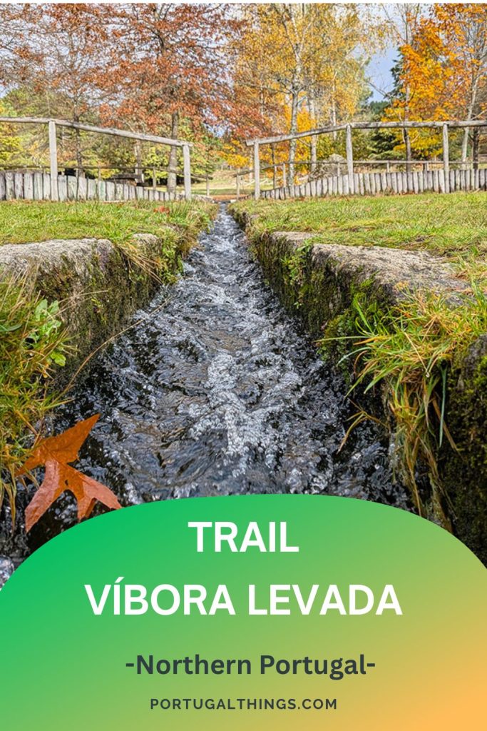 Trail Vibora levada Northern Portugal