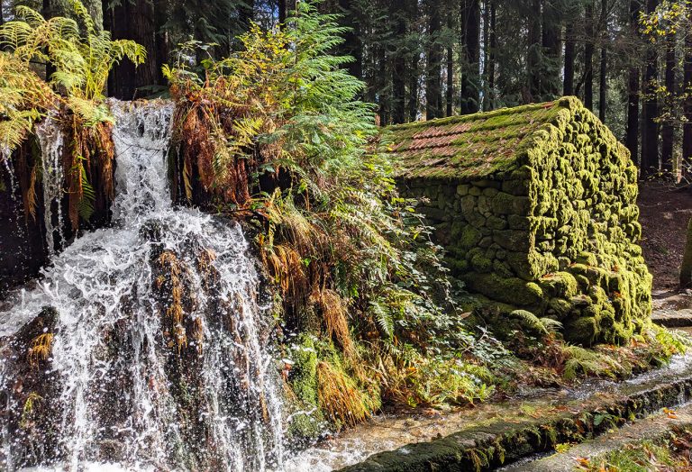 Trilho de Levada de Víbora cover