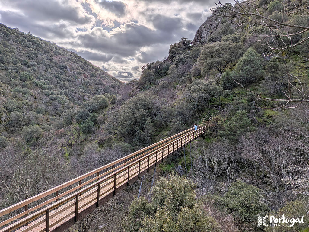 Uma longa passarela de madeira atravessa um vale profundo e coberto de árvores ao longo da trilha de caminhada Trilho da Cascata, com colinas em ambos os lados sob um céu nublado.