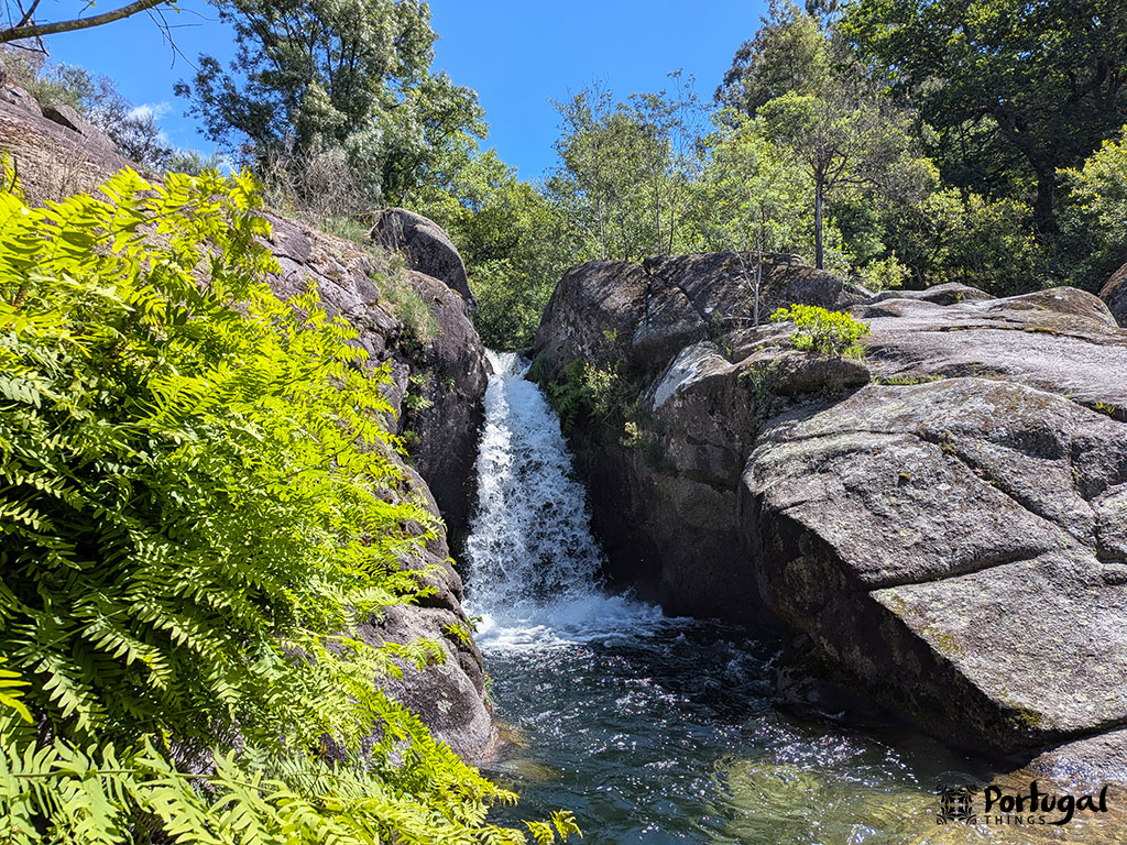 A small waterfall flows between large rocks into a clear pool along the Ave Mills Trail, surrounded by green ferns and trees under a bright blue sky.