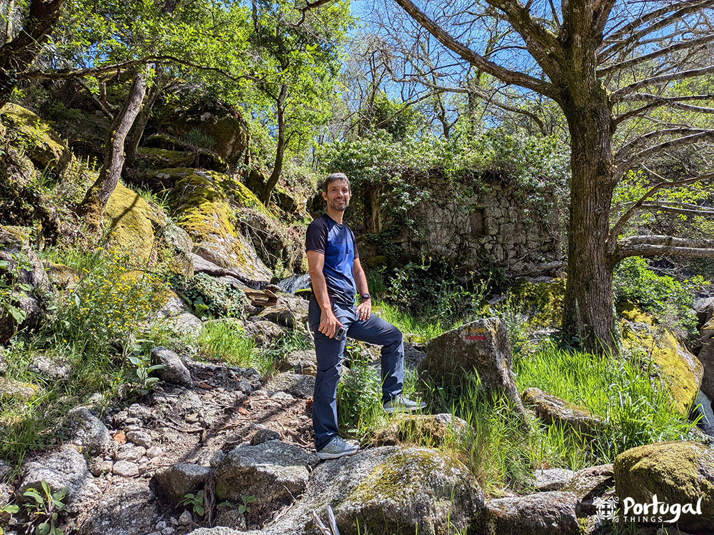 A man stands on a rocky, wooded hiking trail in a lush forest, sunlight filtering through the trees. Moss-covered rocks and green foliage surround him along the Ave Mills Trail.
