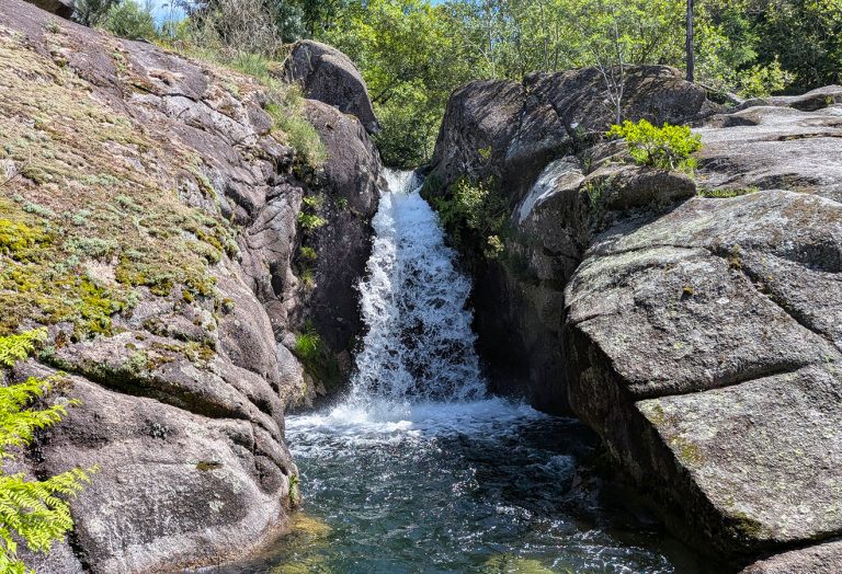 Uma pequena cachoeira flui entre grandes rochas cobertas de musgo para uma piscina clara cercada de vegetação e luz solar ao longo da trilha panorâmica Ave mills.