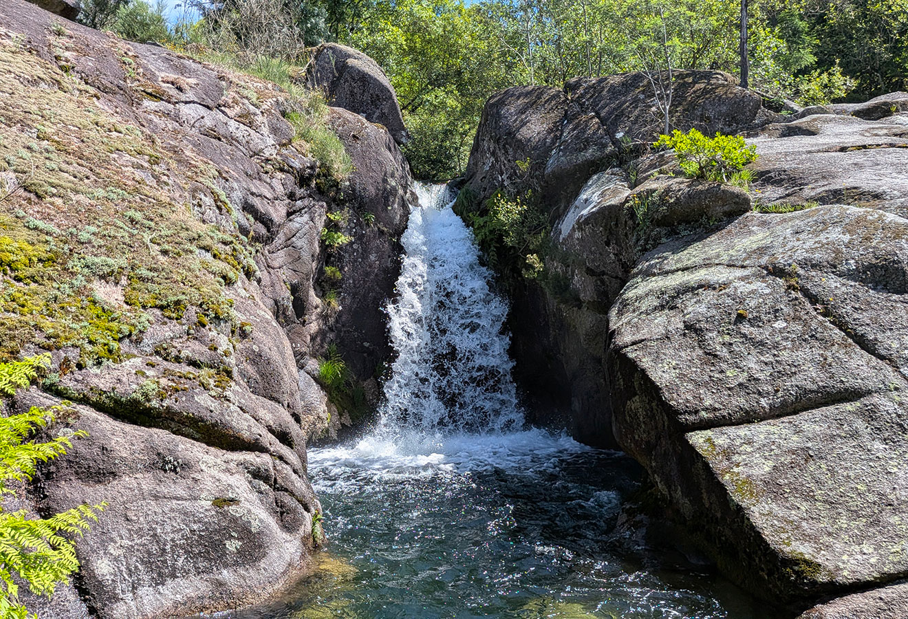 Uma pequena cachoeira flui entre grandes rochas cobertas de musgo para uma piscina clara cercada de vegetação e luz solar ao longo da trilha panorâmica Ave mills.