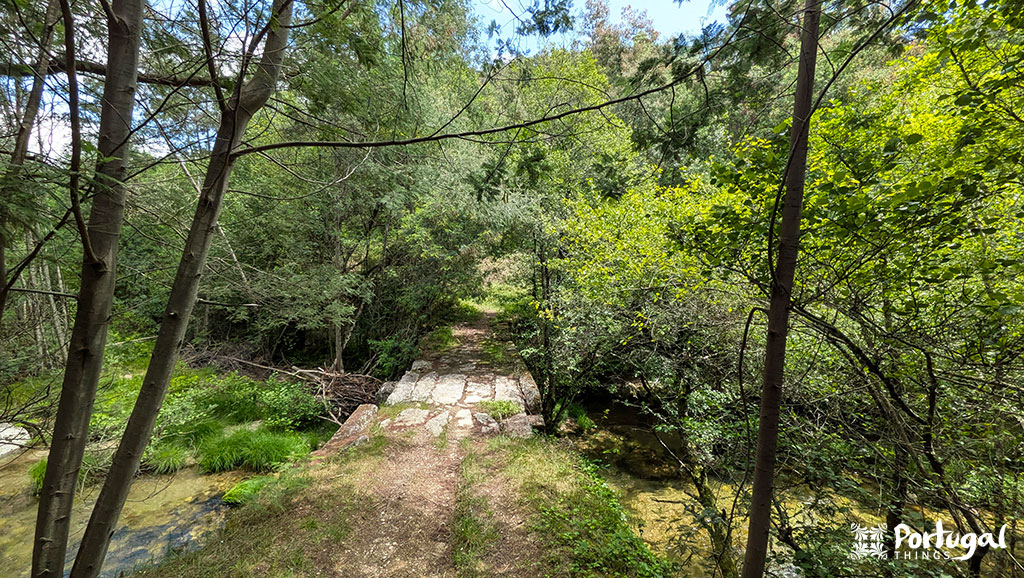 A narrow stone bridge crosses a small stream along the Ave Mills Trail hiking path in a lush green forest under a partly cloudy sky. Sunlight filters through the foliage. The image features the