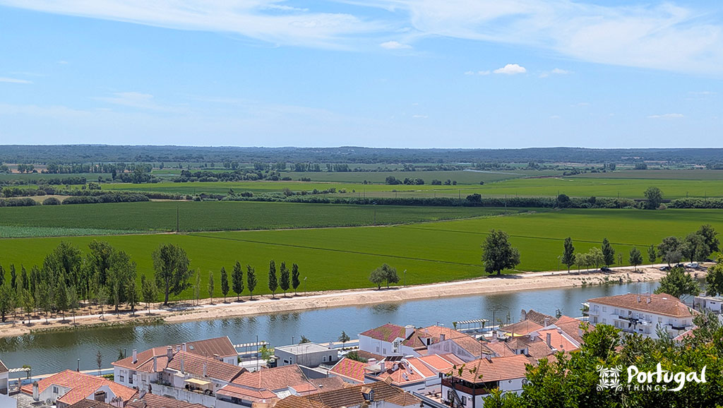 Um extenso arrozal com o rio Sorraia e algumas casa da cidade de coruche em Portugal