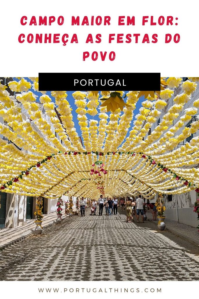 Campo maior em flor: conheça as festas do Povo