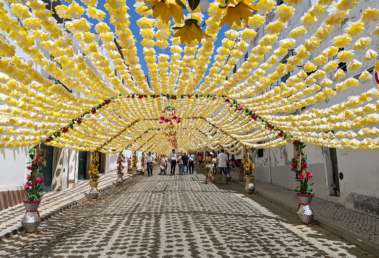 Rua cheia de flores amarelas nas Festas do Povo de Campo Maior