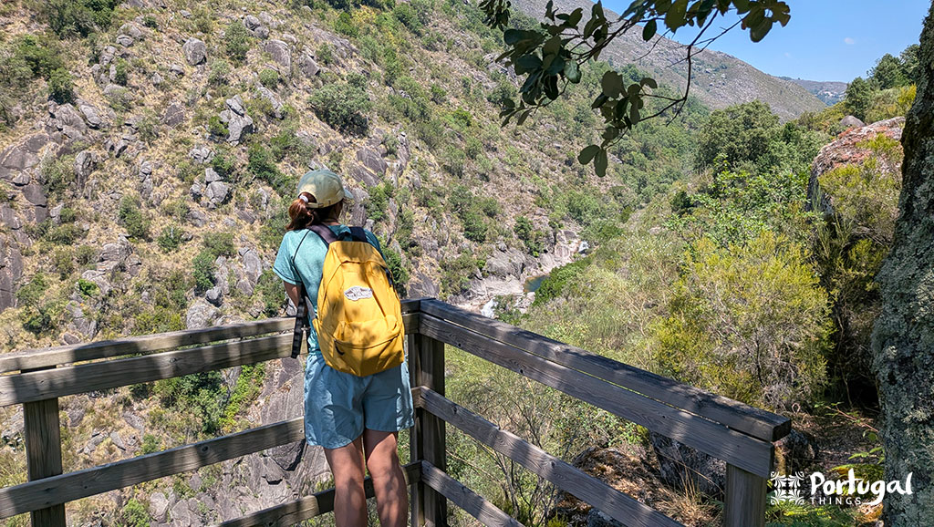 uma pessoa observa as poças do malho num miradouro feito de madeira