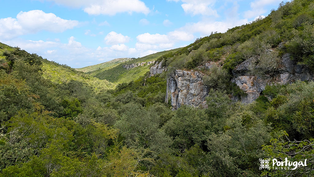 Buracas do Casmilo: Como Fazer o Trilho e Visitar as Grutas 9 vista do cimo da montanha com um desfiladeiro cheia de arvores e montanhas