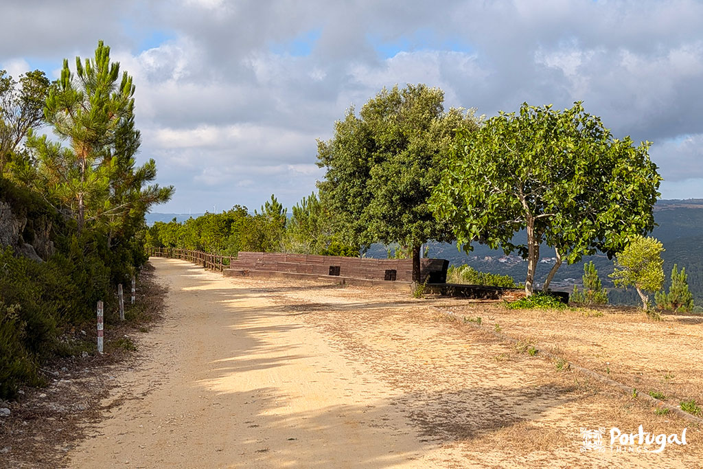 Porto de Mós Ecotrail: Trail, Tunnels, and Windmills 7 A dirt trail with a few trees along the route