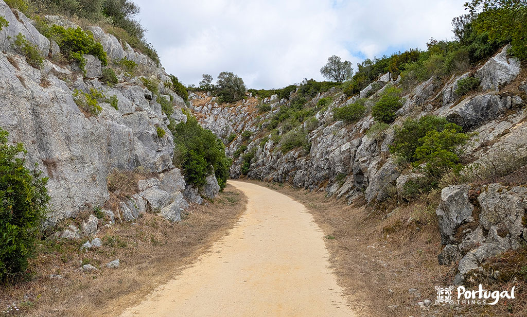 Porto de Mós Ecotrail: Trail, Tunnels, and Windmills 8 A dirt trail following a rocky gorge with small shrubs